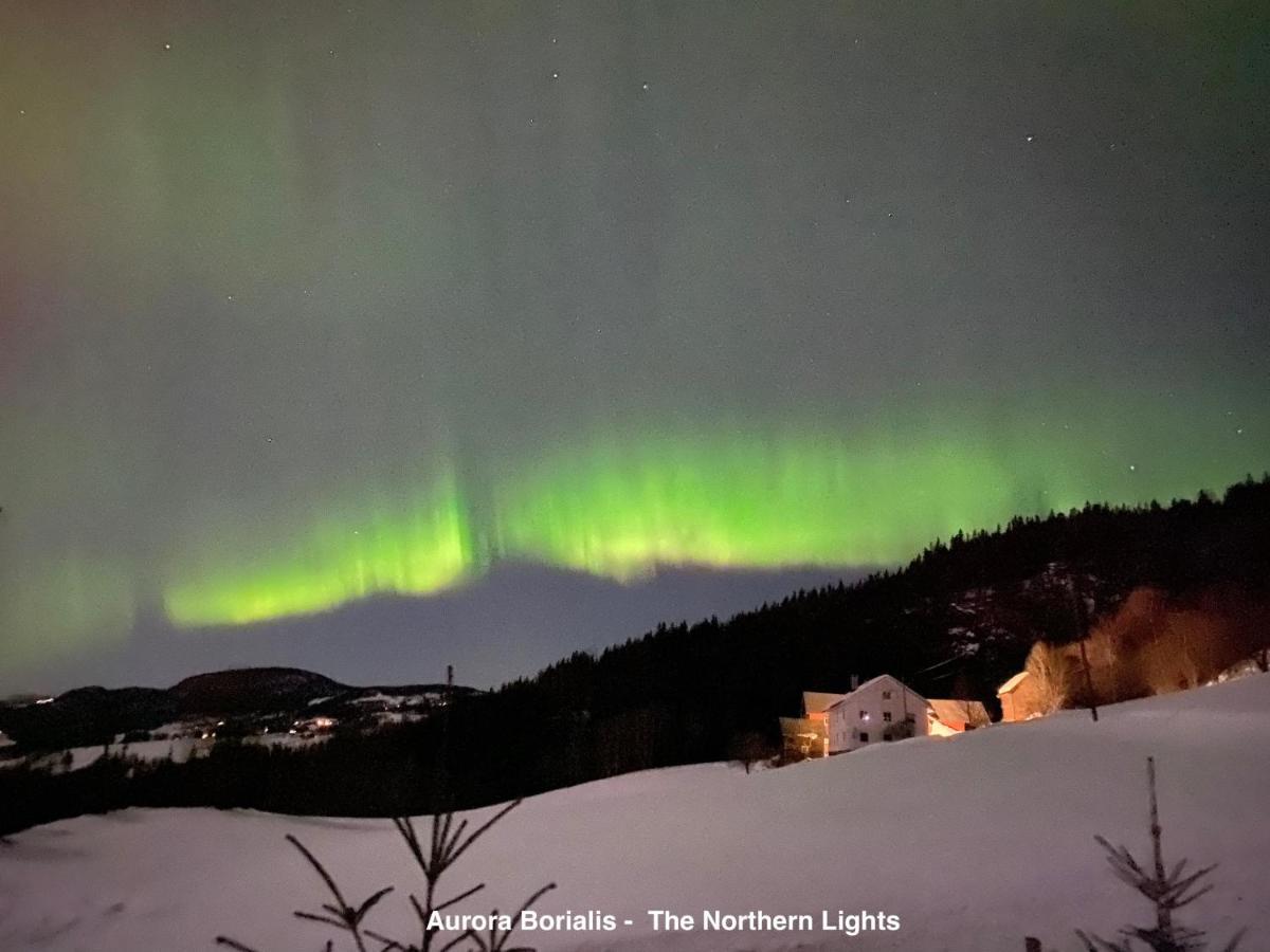 Hafjell Alpinlandsby Apt 88 Luaran gambar